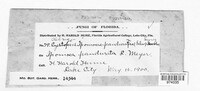 Image Associated With the Occurence